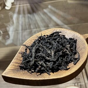 Цзинь Му Дань Хуа Сян, 2025